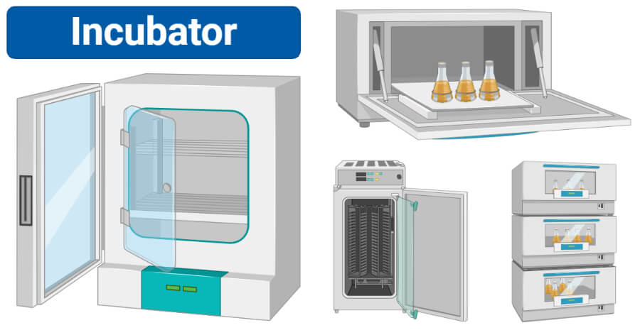Understanding Bacteriological Incubators wide variety of applications and uses
