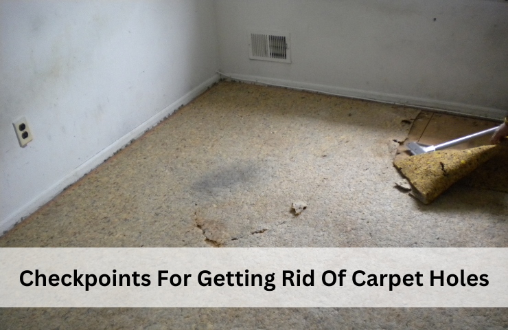 Checkpoints For Getting Rid Of Carpet Holes